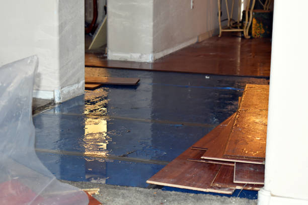 Professional Burst Pipe Cleanup technician working in Cherryville, PA